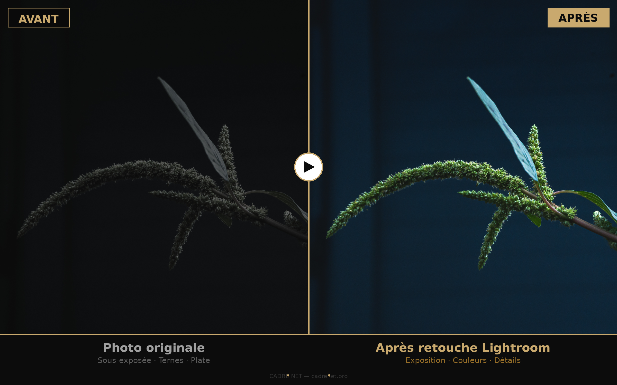Avant / Après — Macro plante